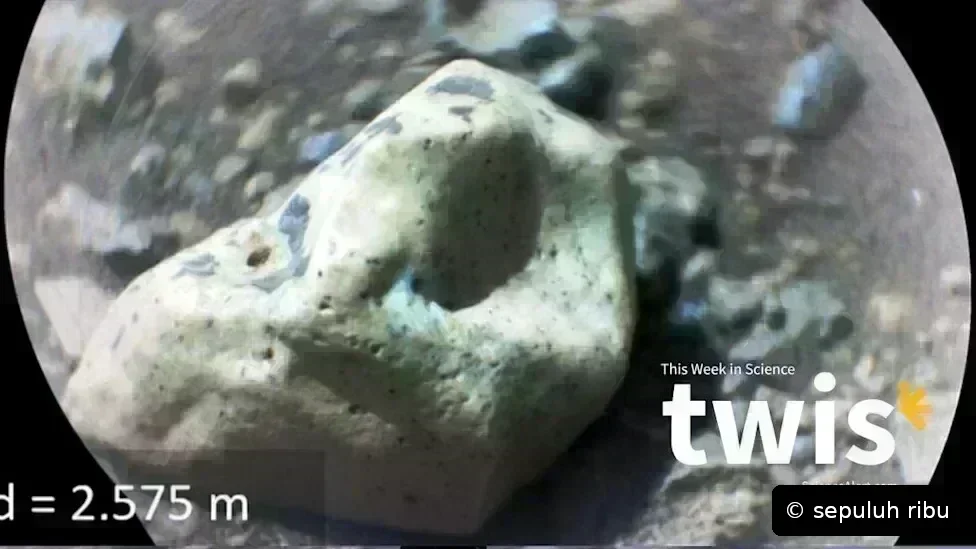 Sepuluh Ribu Agen AI Mencapai Konsensus Spontan, Rover Mars Temukan Mineral Permata, hingga Uji Coba Transplantasi Mikroba untuk Alergi Kacang